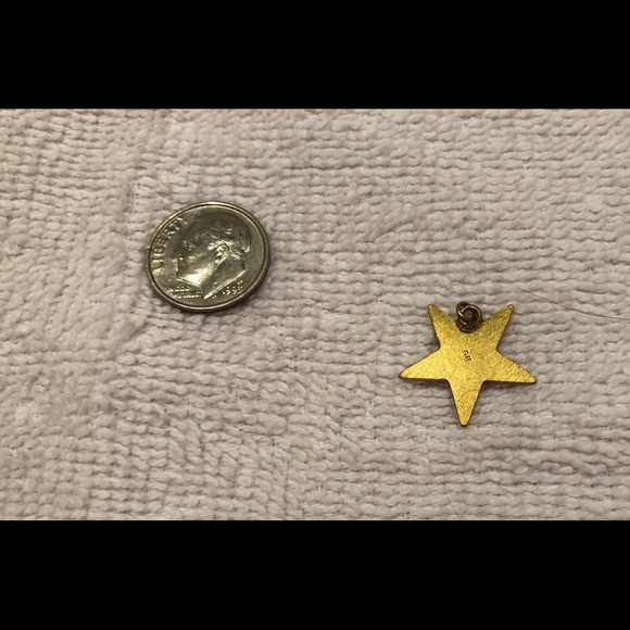 ⭐️🩷 LAST ONE !! 💙💛💟💚❤️OES 👑 Order of the Eastern Star CHARM - Gold-tone - Picture 4 of 4